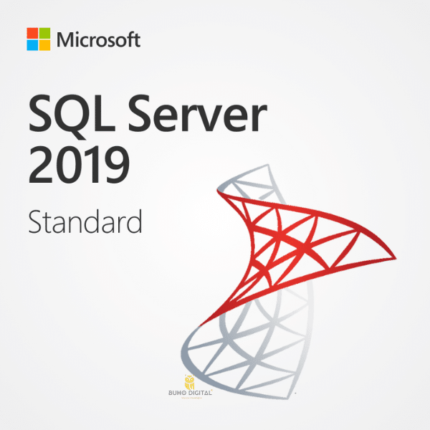 SQL Server 2019